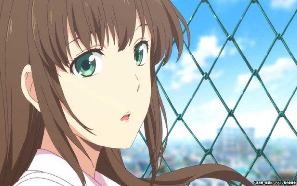 【 阳菜】小三泪