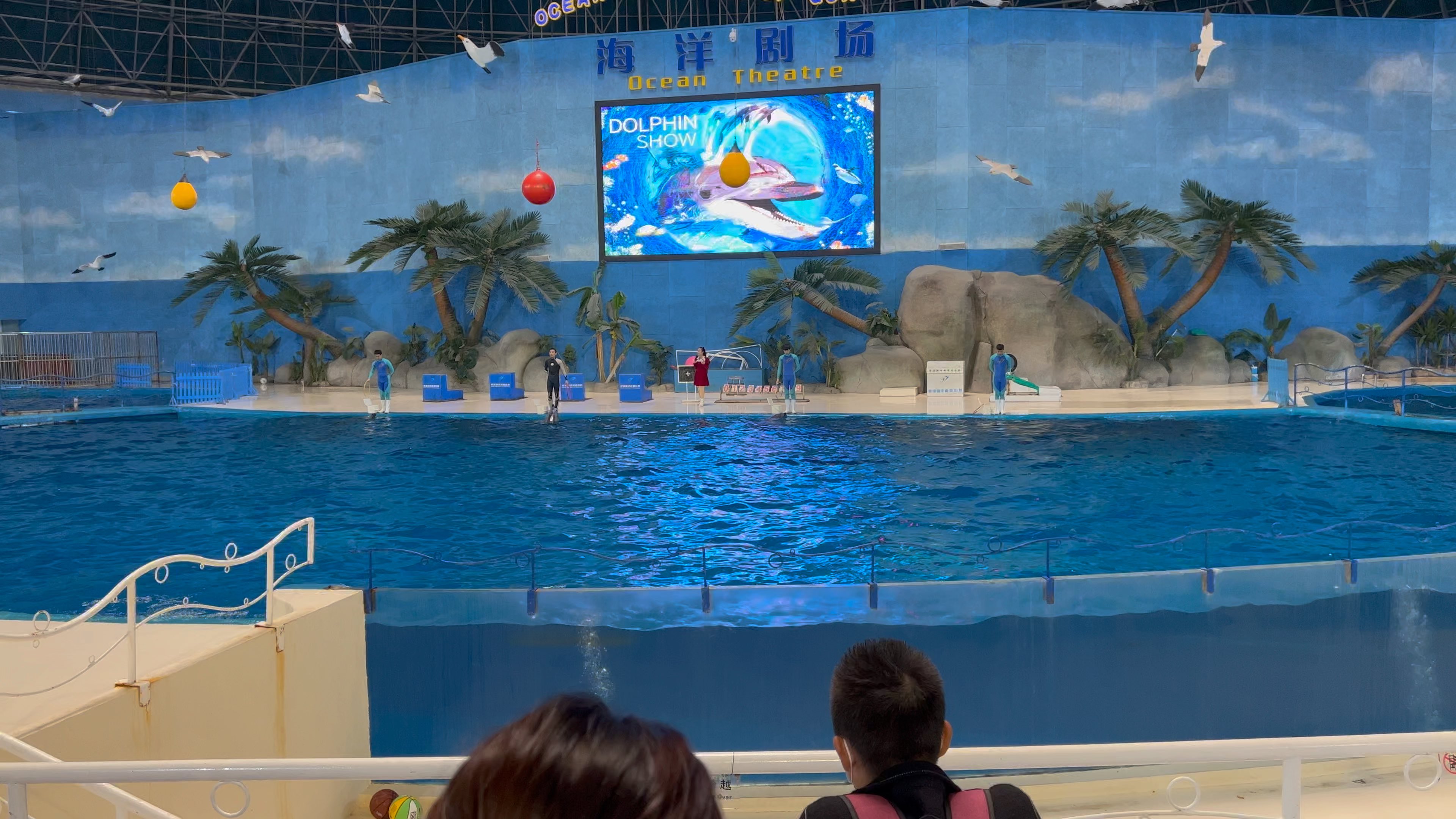 泉城海底世界海豚
