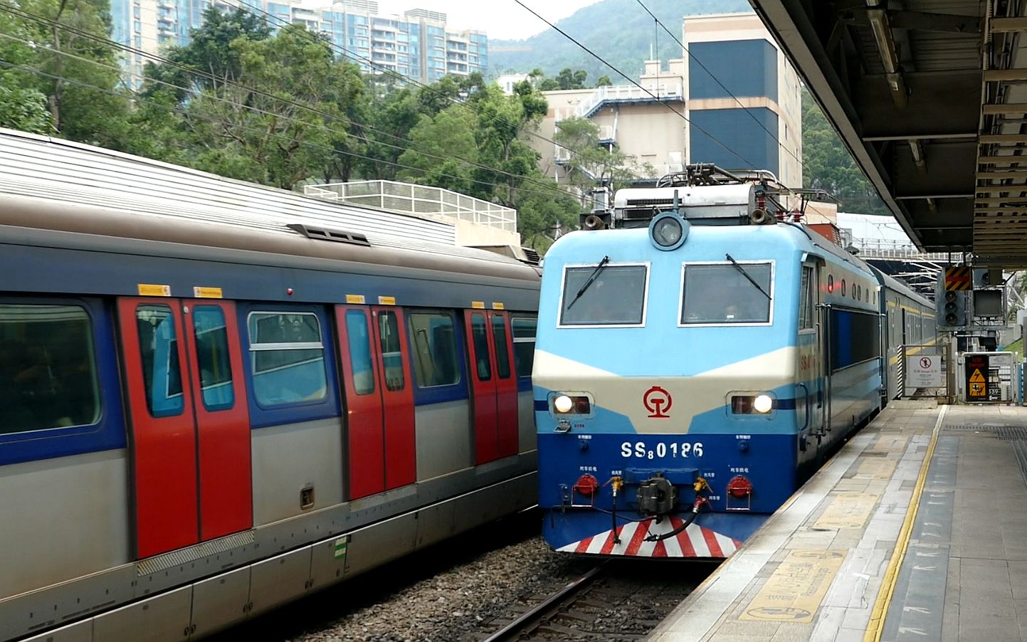 广九直通车 飞驰东铁线 或成绝唱