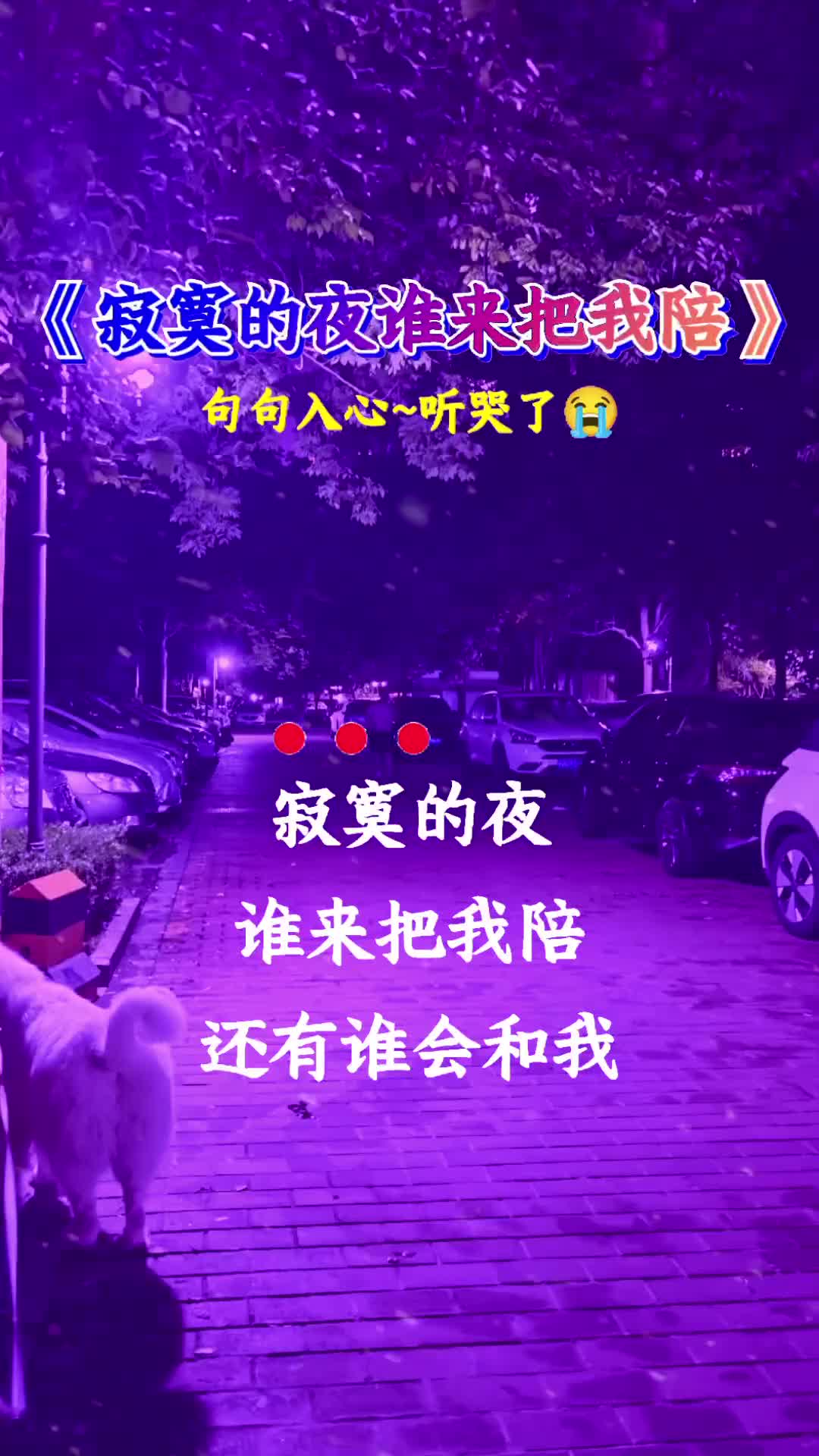 [图]寂寞的夜谁来把我陪伤感音乐听哭了多少有故事的人听哭了