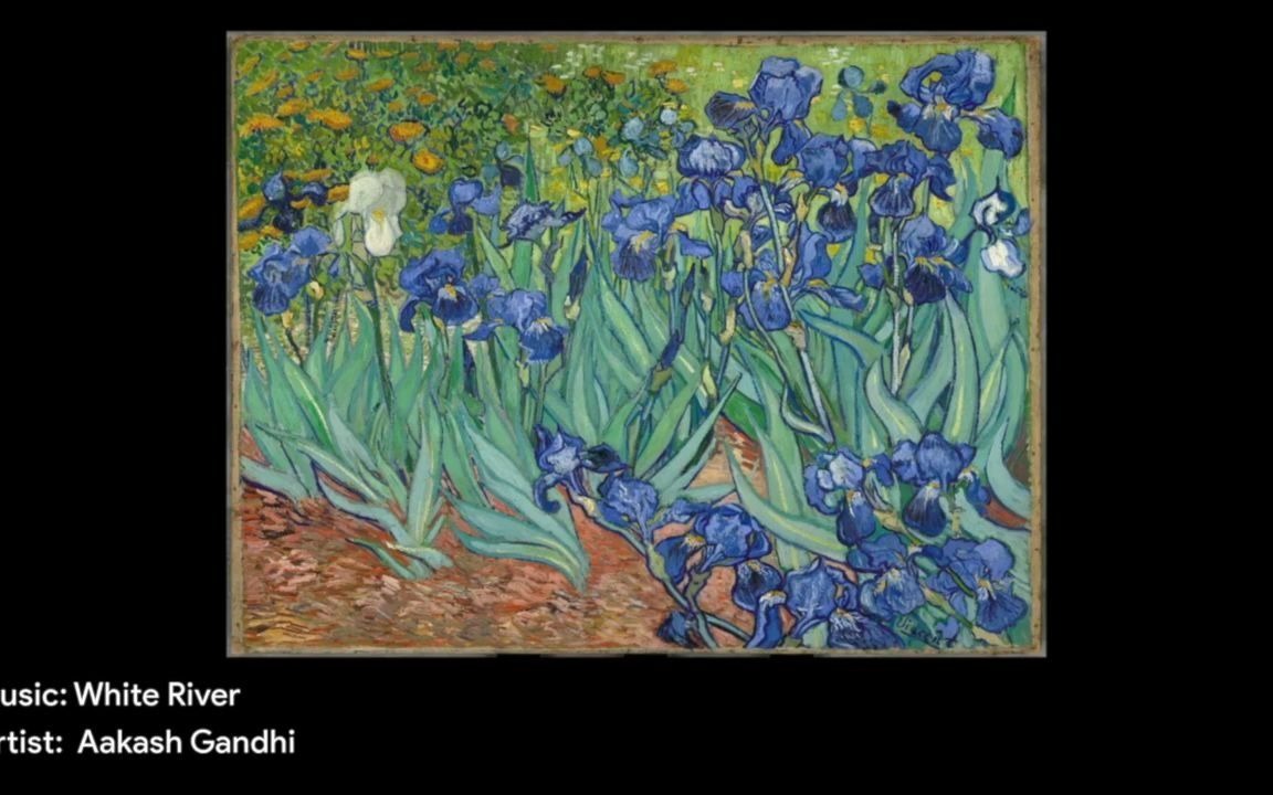 Irises by van gogh哔哩哔哩bilibili