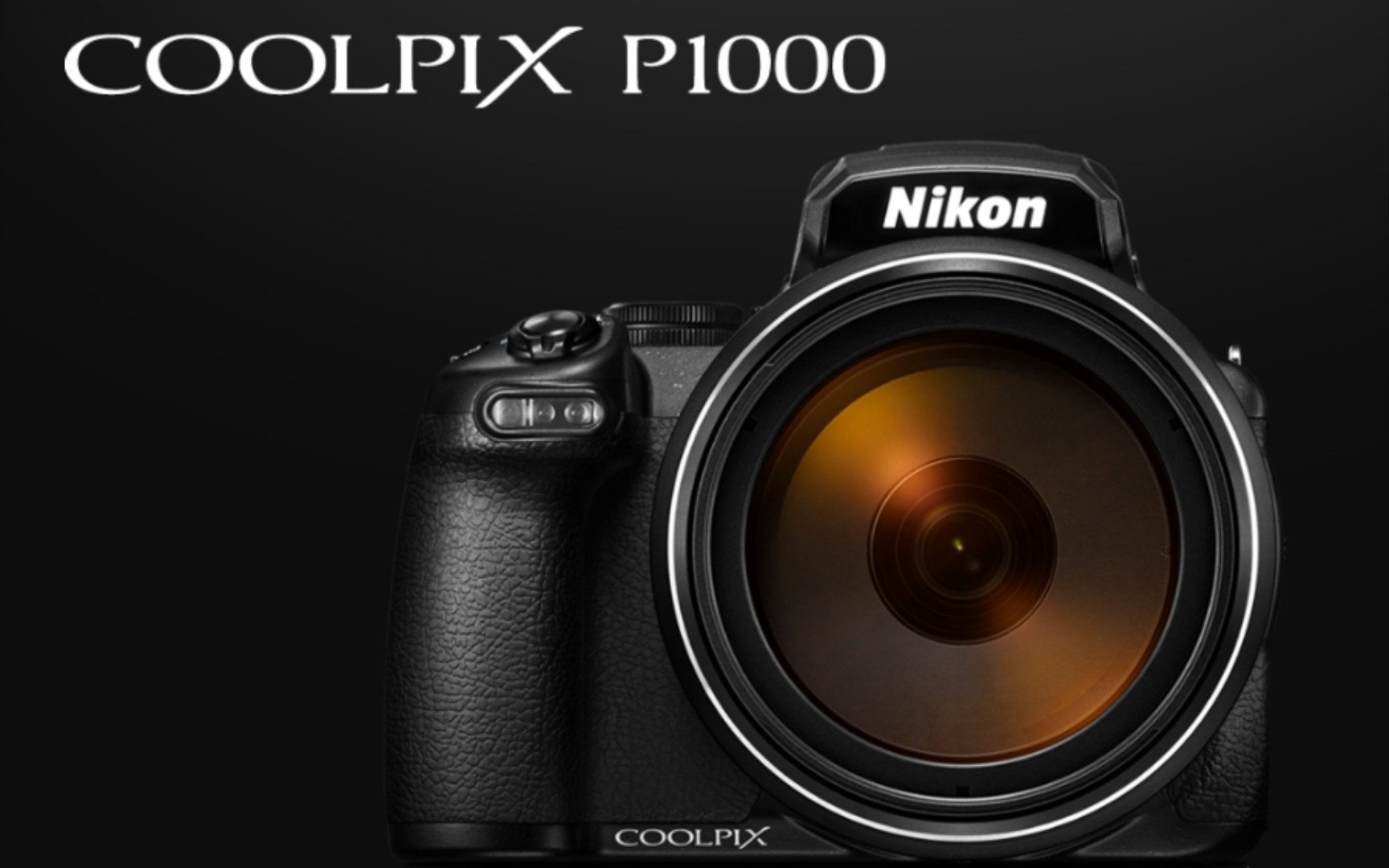 感受一下尼康coolpix p1000恐怖的125倍光学变焦