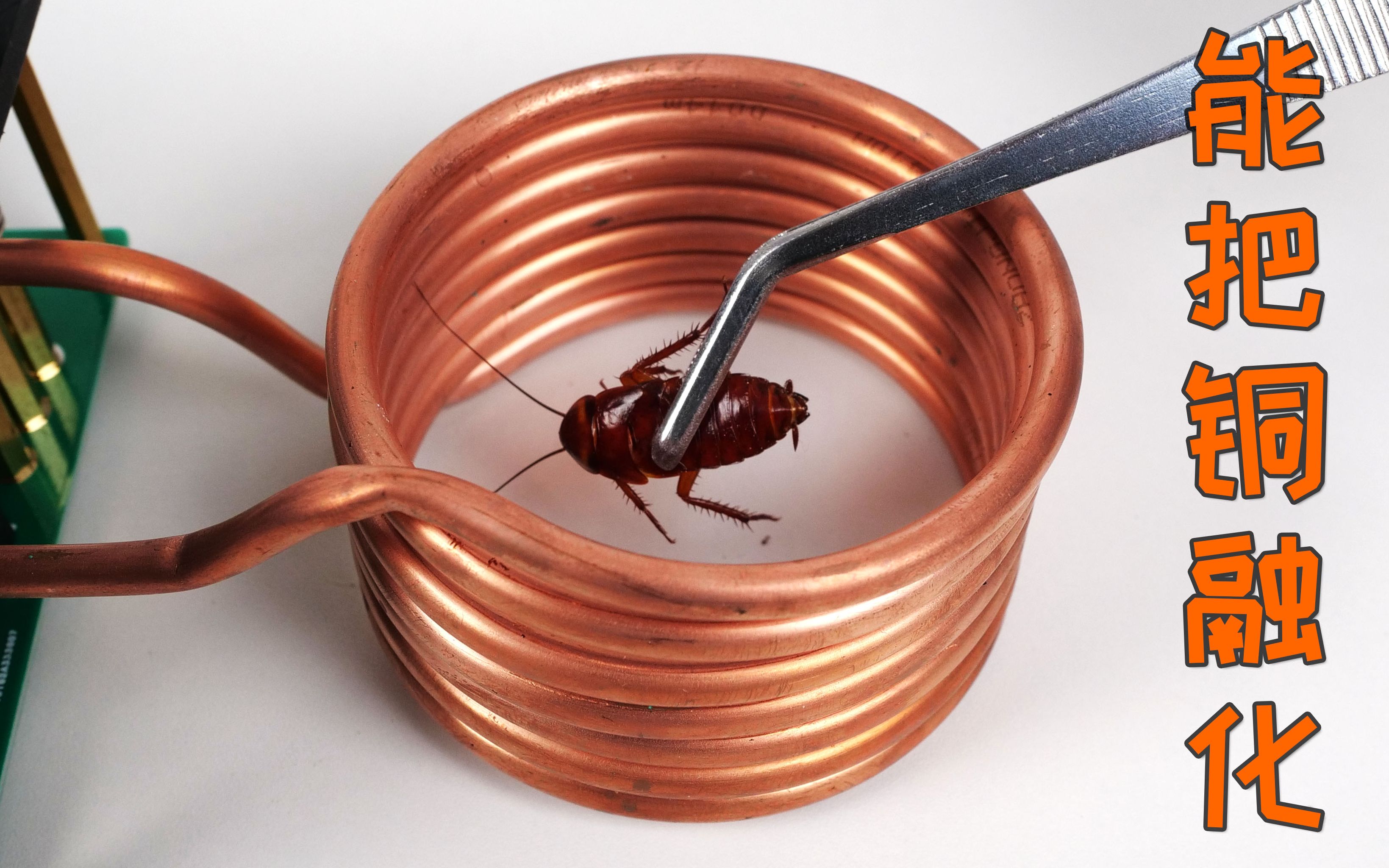 把蟑螂放进能融化铜的高频感应线圈里会如何