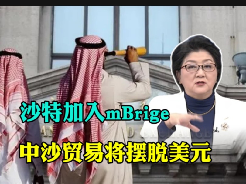 沙特加入mBrige,中沙石油贸易将摆脱美元.哔哩哔哩bilibili