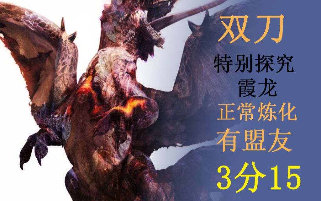【mhrs】双刀-特别探究霞龙-3分15-有盟友无限制