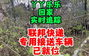 Video herunterladen: 美国联邦快递熊猫专机的接驳车辆已就位 等待接送丫丫乐乐 赶赴孟菲斯国际机场 #萌宠 #大熊猫 #丫丫 #乐乐 #国宝