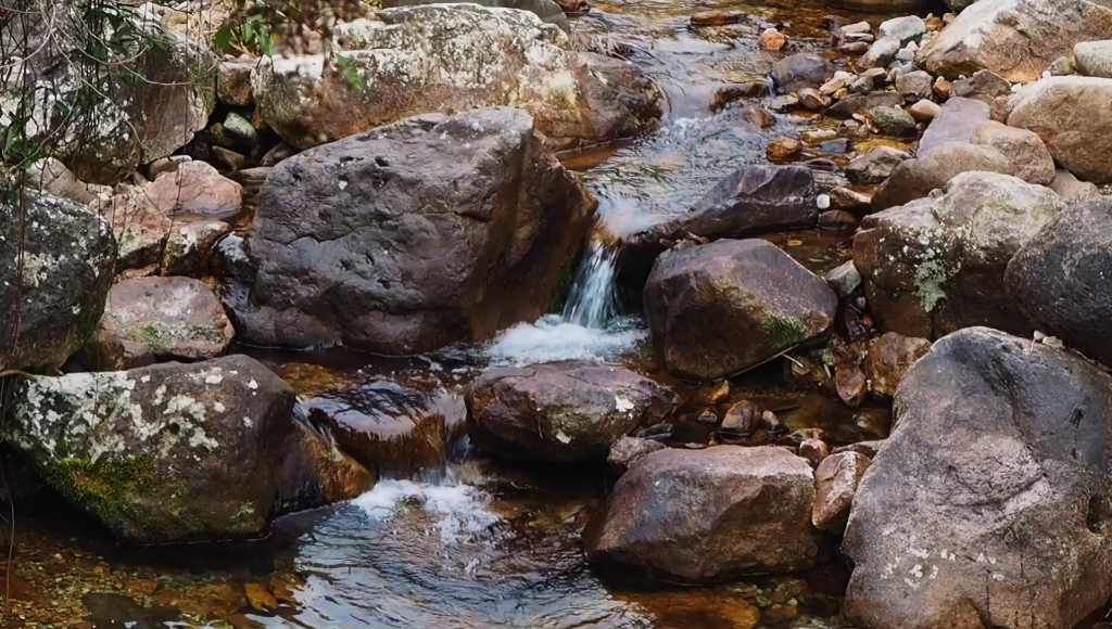 [图]稻米之路—丽水松阳高山梯田血糯米