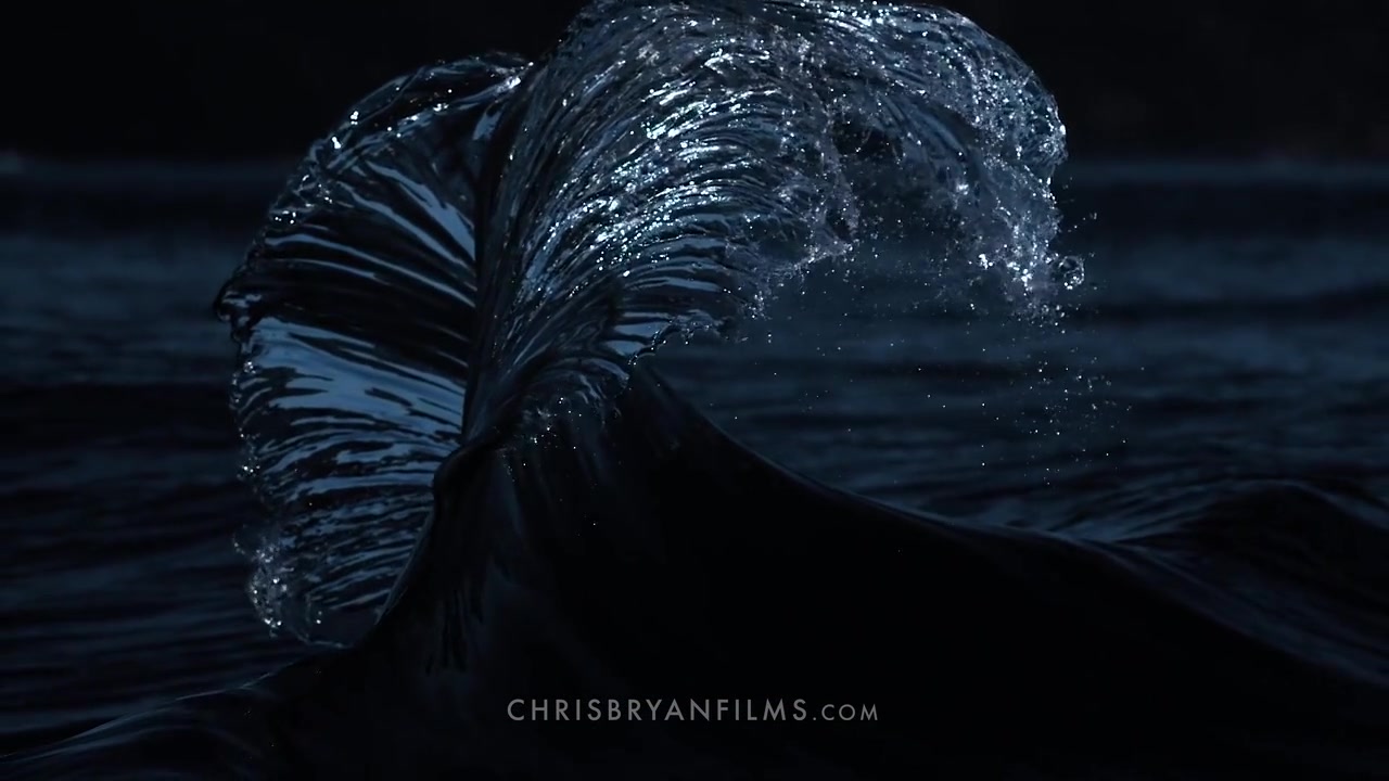 每一帧都是壁纸,玻璃海洋的通透与危险