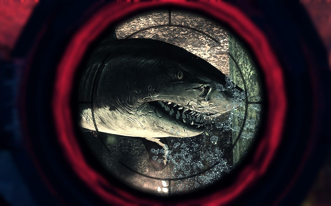 鲨鱼惊魂夜游戏图片