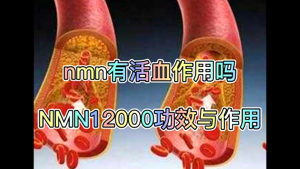 nmn有活血作用吗,NMN12000功效与作用是什么?哔哩哔哩bilibili