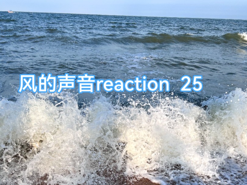 【风的声音reaction】25哔哩哔哩bilibili