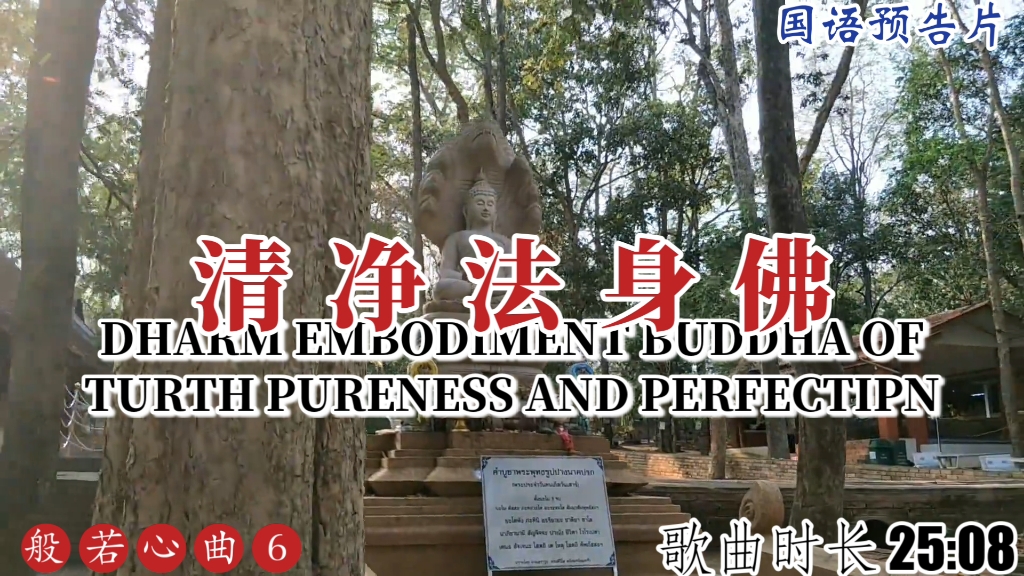 清净法身佛国语完整版预告