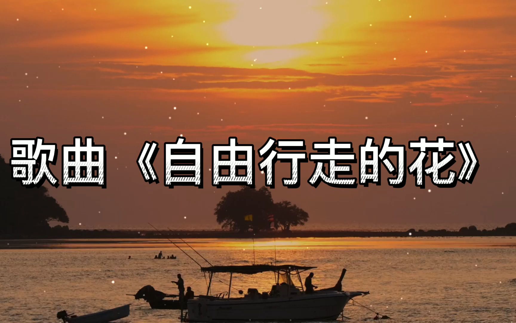 [图]歌曲《自由行走的花》