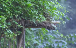 阿哥家乡下雨天的风景，小房子依山傍水而建，犹如世外桃源，适合度假隐居