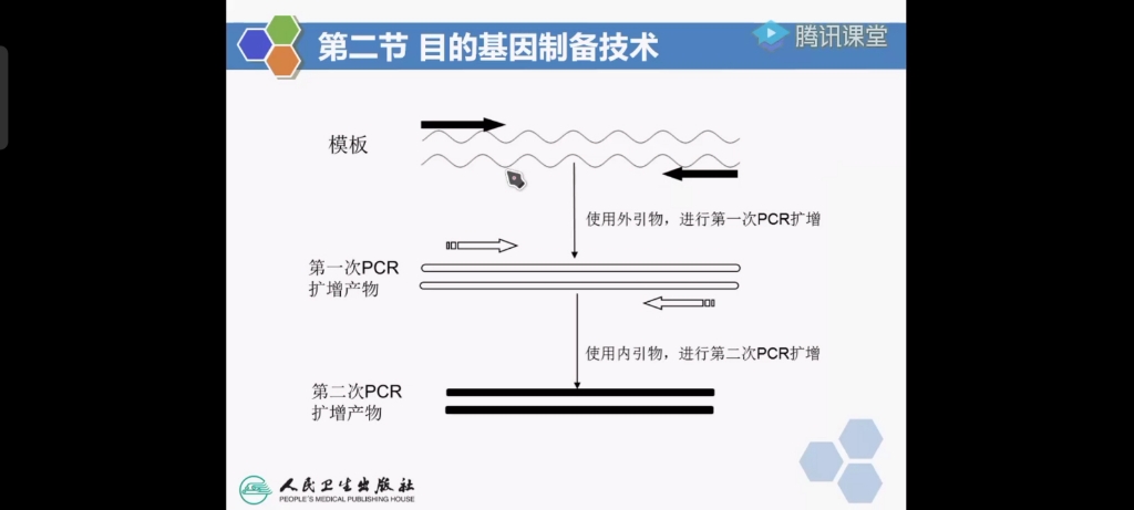 药学分子生物学(第六章 PCR聚合酶链反应)哔哩哔哩bilibili