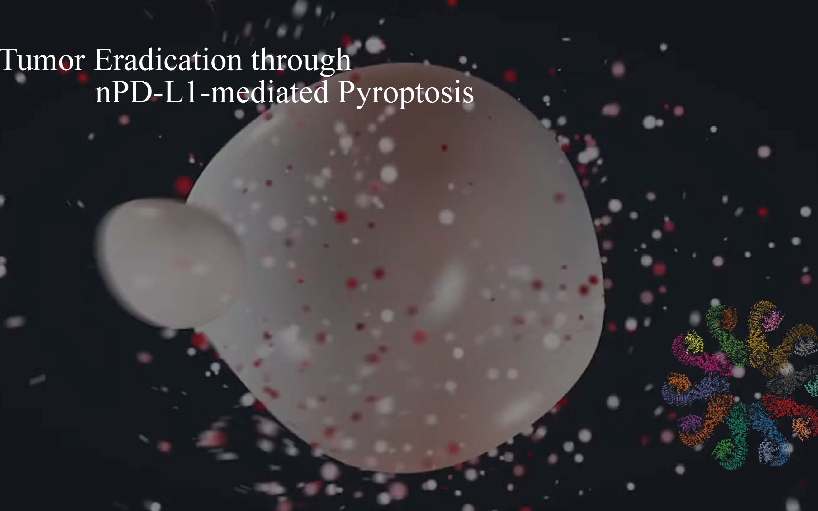 【中英字幕】Tumor Eradication through nPDL1mediated Pyroptosis哔哩哔哩bilibili