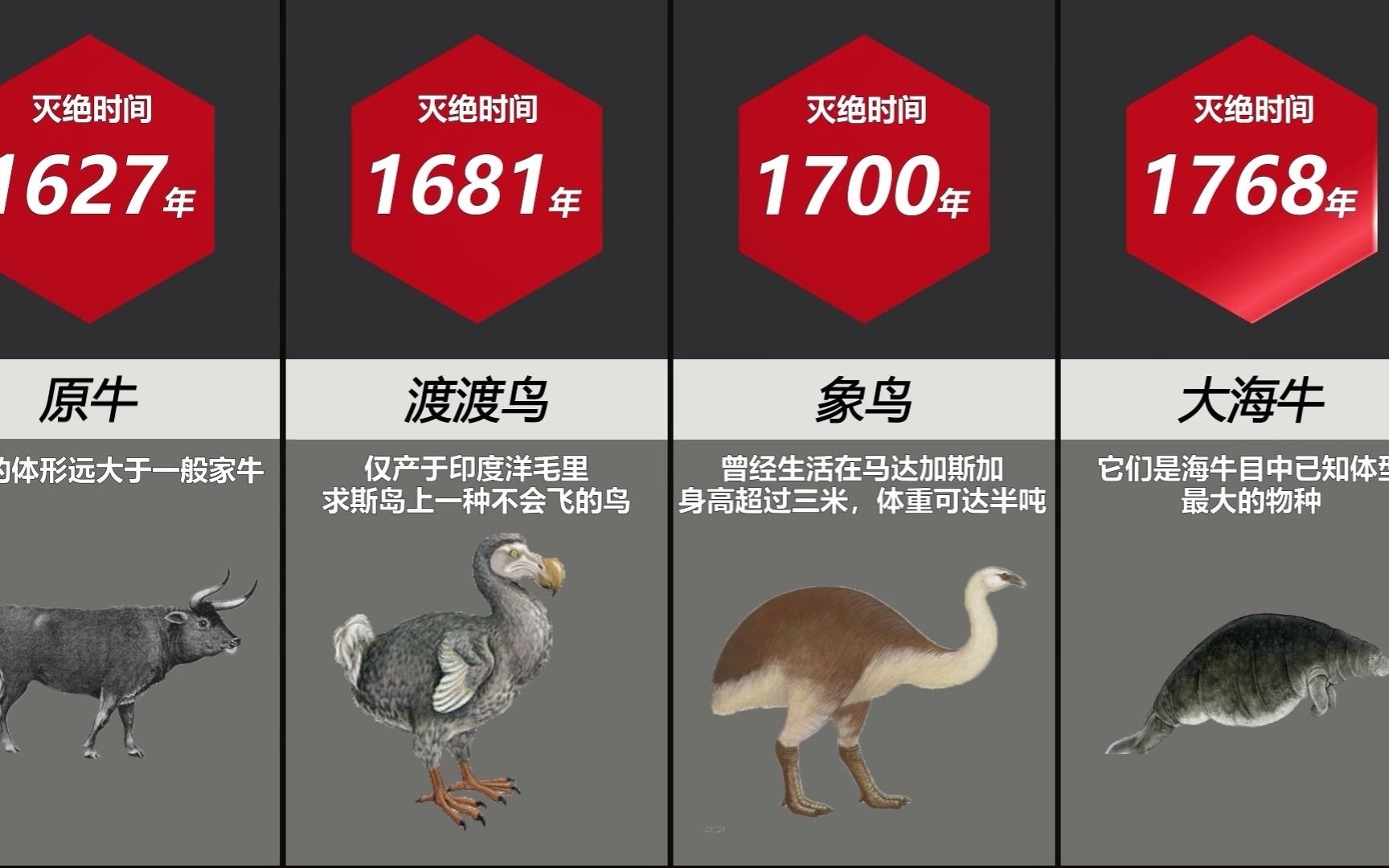 史前灭绝动物名单图片