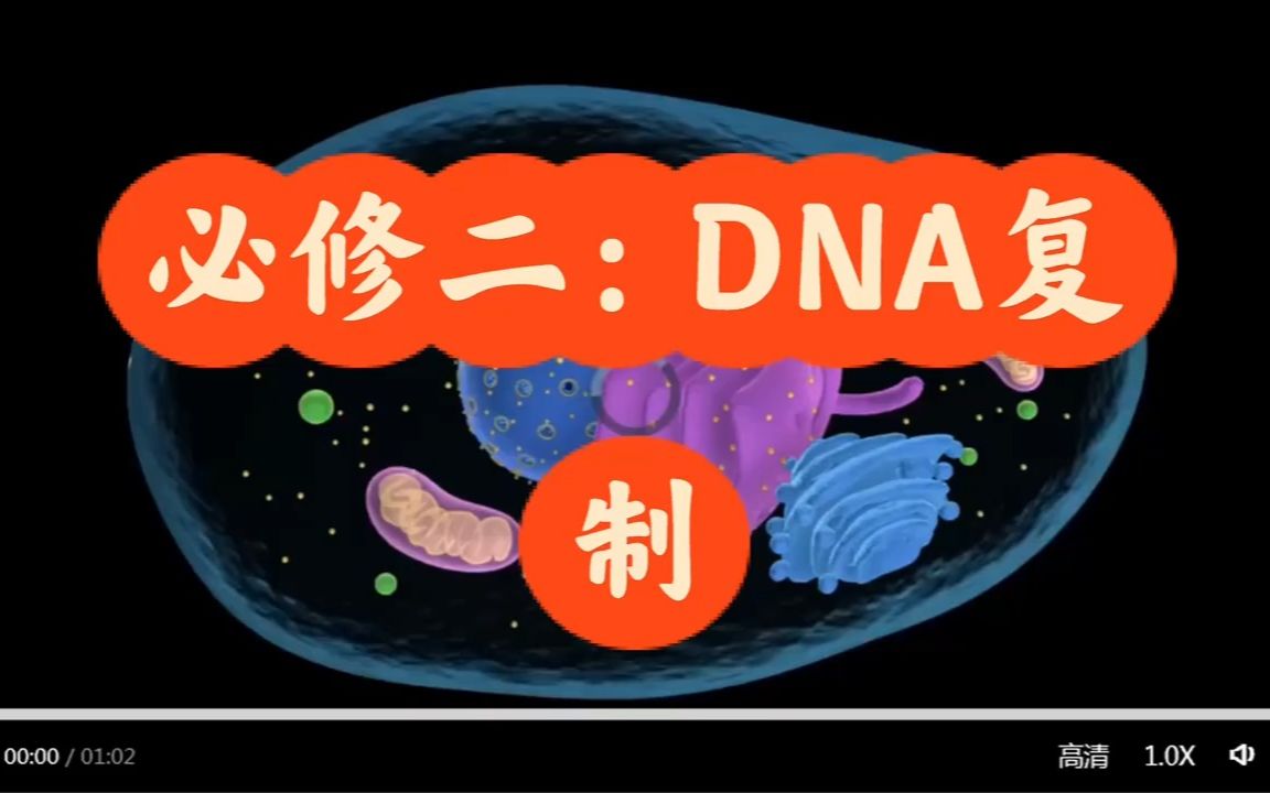 [图]生物必修二：DNA复制过程你要会