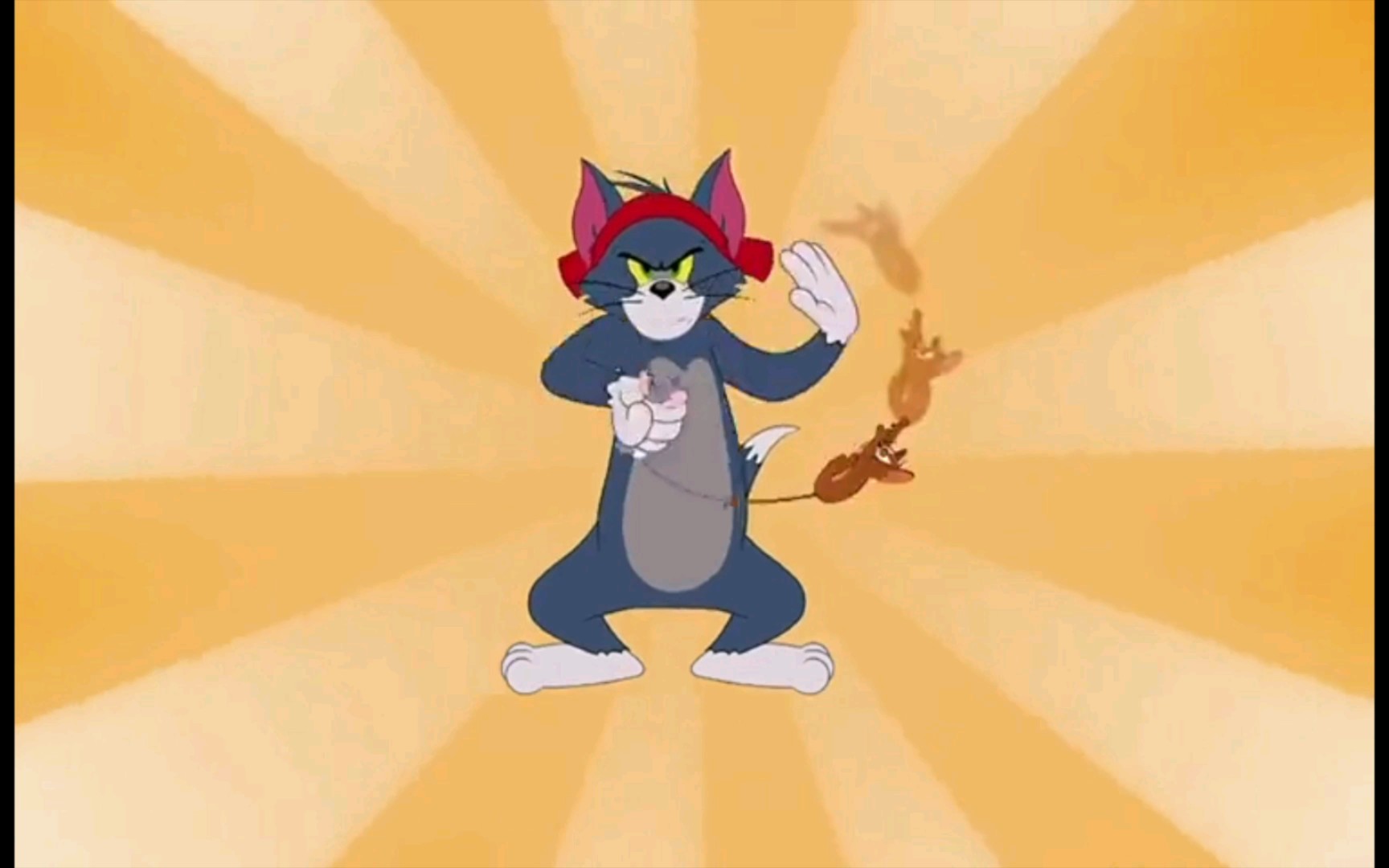 全国第一捕鼠冠军,tom最顶的一集_哔哩哔哩_bilibili