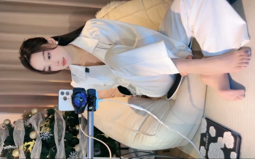 精分半糖 直播片段202411