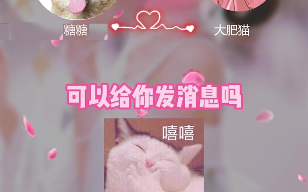 1202瓶子说2哔哩哔哩bilibili