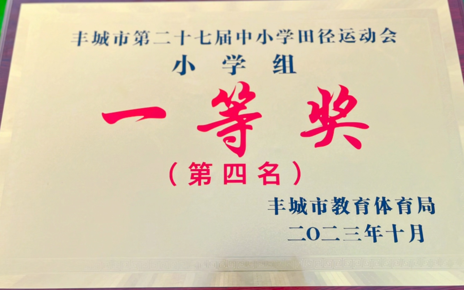 丰城沙湖小学图片