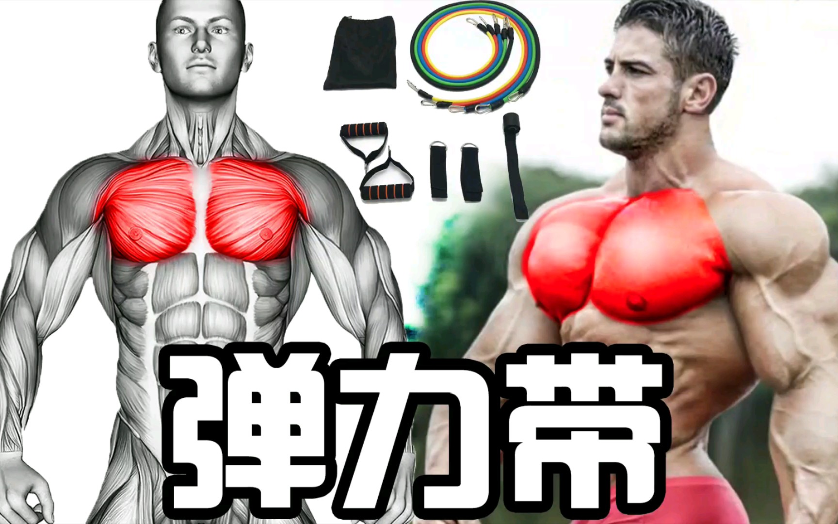 居家健身必备弹力带训练系列1弹力带胸肌训练