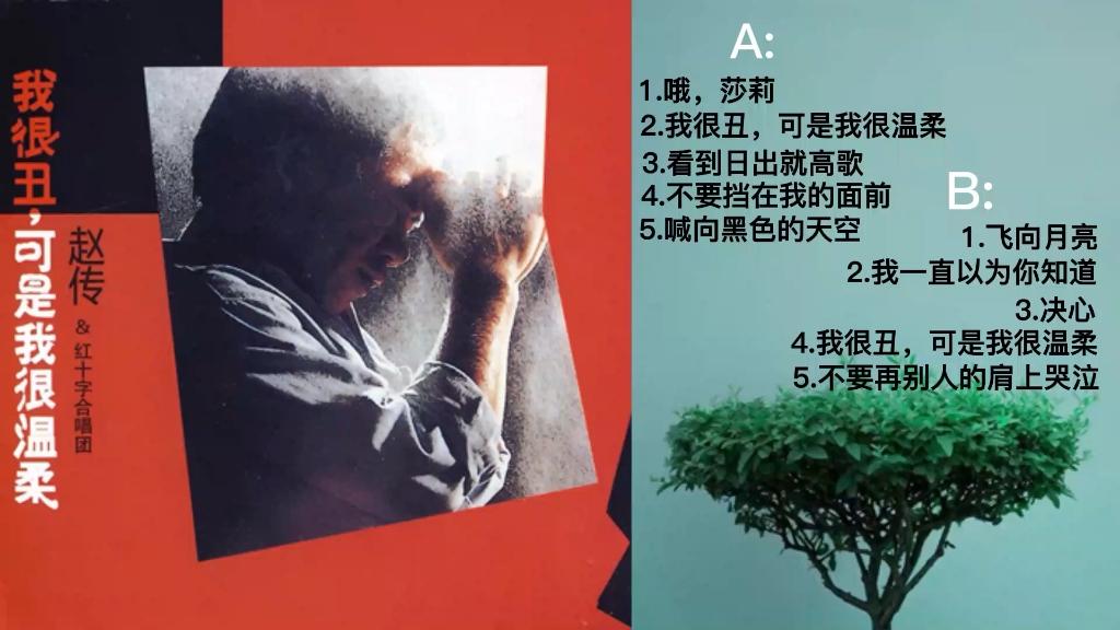 [图]赵传《我很丑，可是我很温柔》专辑（黑胶唱片内录），黑胶模拟味的享受