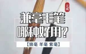 下载视频: 哪种兼毫毛笔好用？