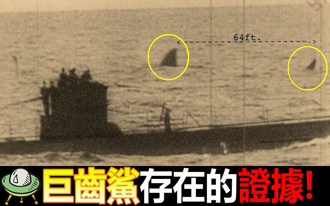 megalodon 巨齿鲨存在的证据! 南非深海遇袭沉没, 船上无一人生还!