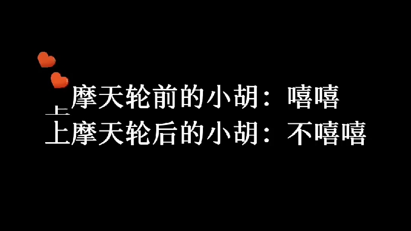 【胡良伟】快三十岁了,上摩天轮后小胡才发现自己是恐高的哔哩哔哩bilibili