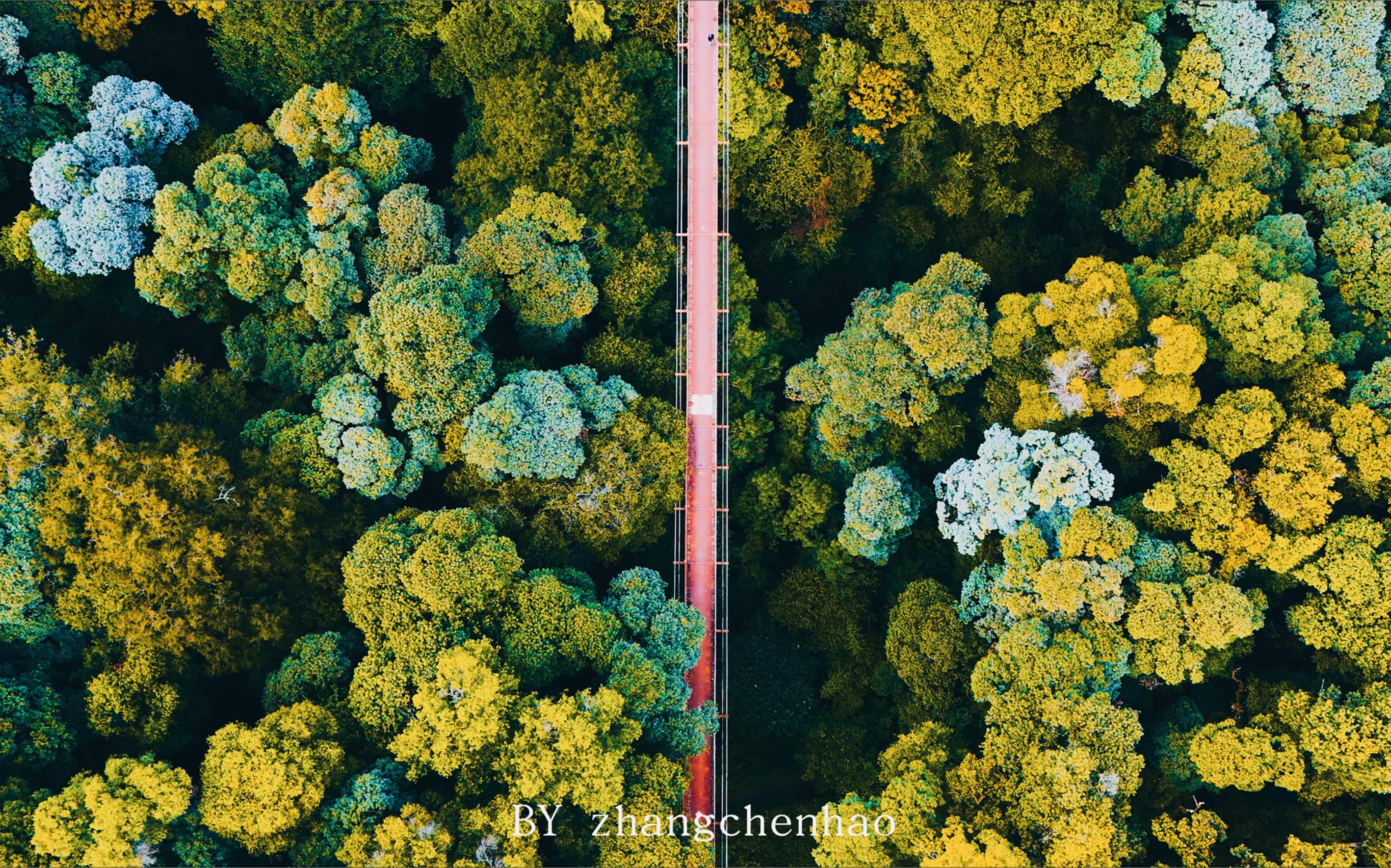 云南～昆明～郊野公园