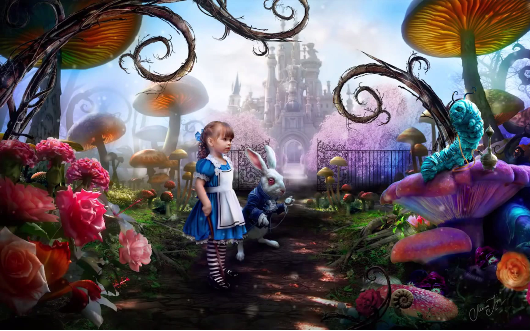 youtube搬运aliceinwonderland