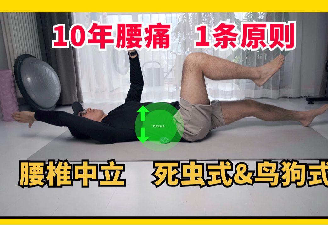 死虫式&鸟狗退阶方案6015练废vs练对区别在于是否理解「腰椎中立