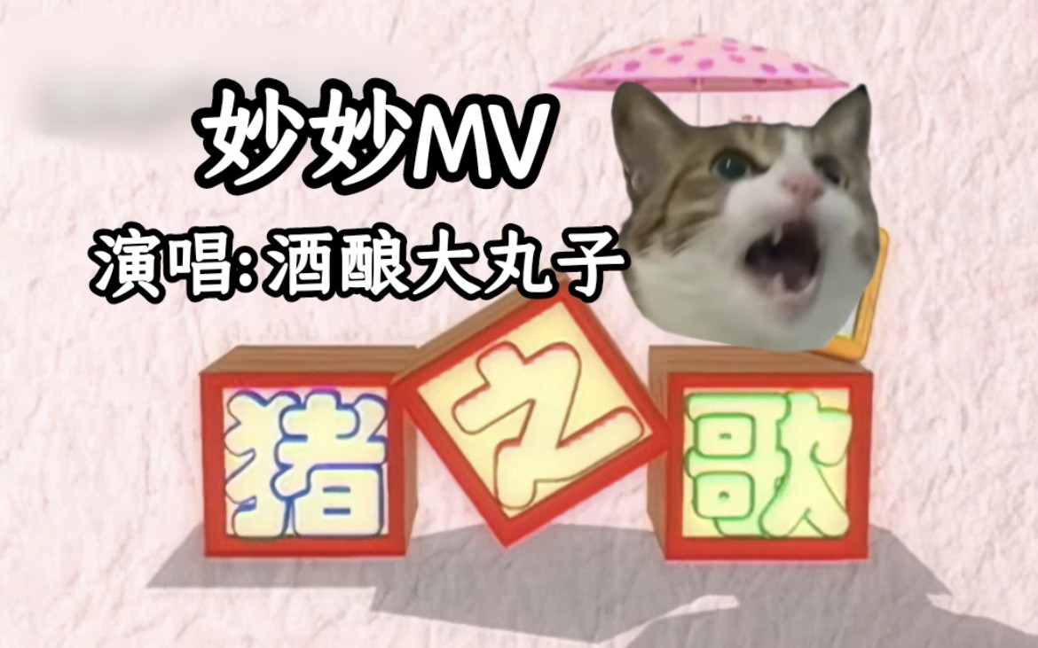 [图]【酒酿大丸子】傻猪猪之歌MV视频