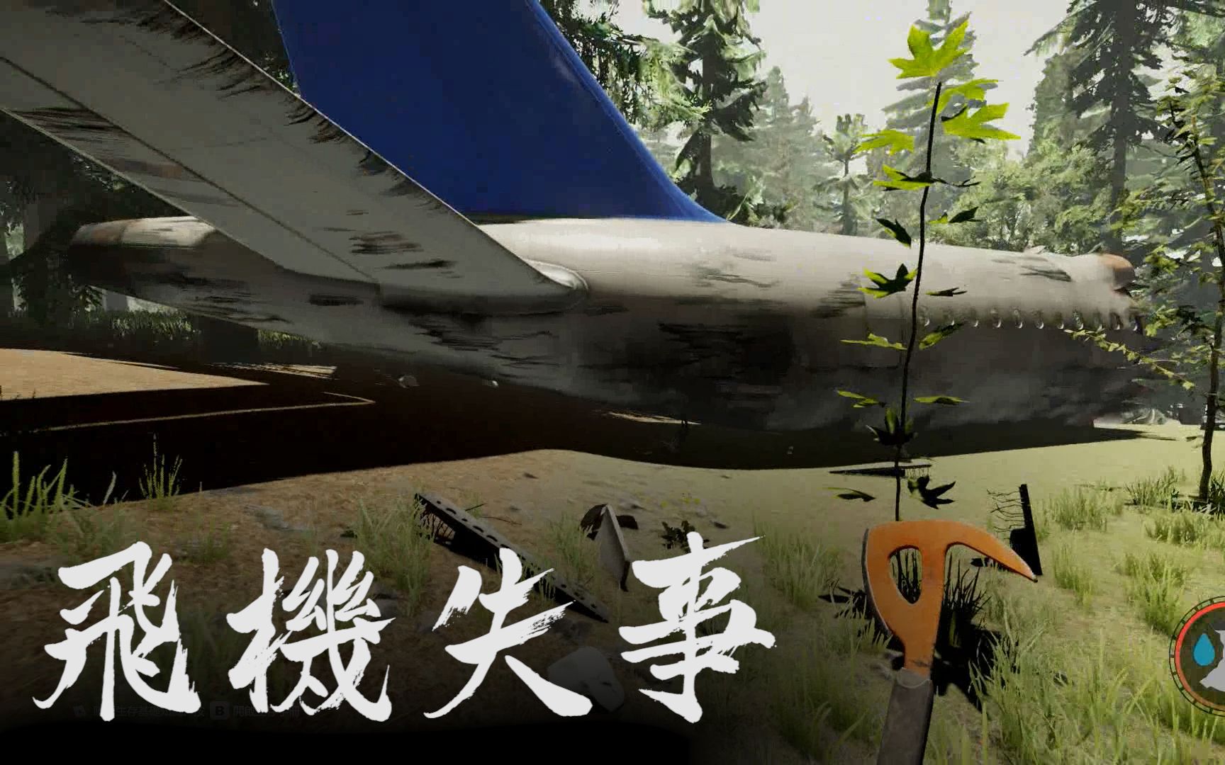 森林01:我乘坐的飞机坠机了,儿子也丢了,我踏上寻找儿子的道路