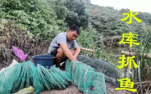 Tải video: 在水库下了5个地笼，第二天来收发现鱼不见了，这真是太奇怪了！