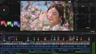 【剪辑工程文件】成都 樱花🌸