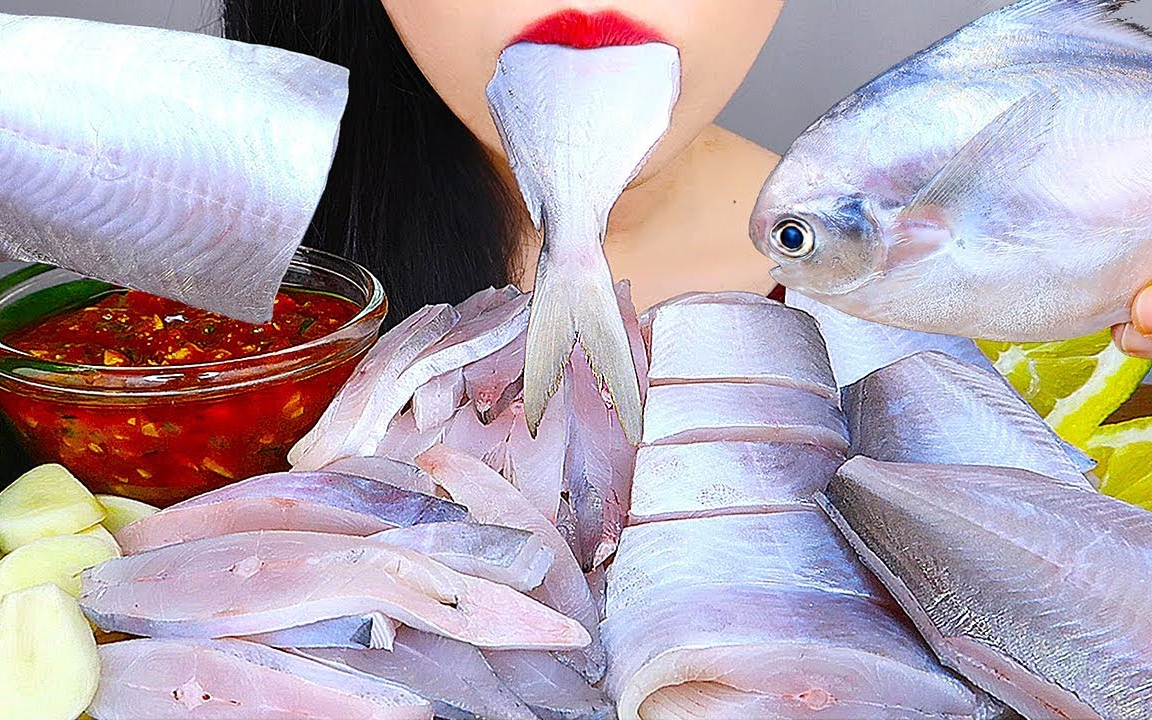 hongyu银鲳生鱼片生黄油鱼鲳鱼刺身声控食音咀嚼音