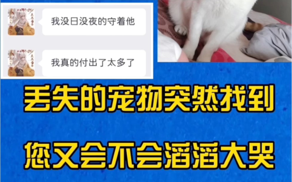 ##找猫方法# #柯南寻猫寻狗专业寻宠物团队##河南寻猫##洛阳找猫团队##寻猫团队##哪家寻猫团队靠谱##河南洛阳寻猫团队##如何快速找猫# #洛阳靠谱找...