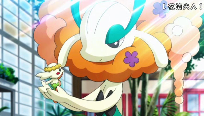 精灵宝可梦78花洁夫人78