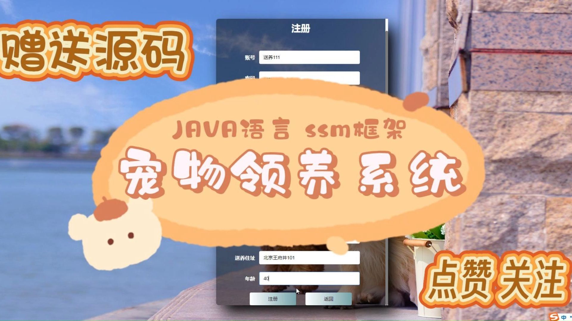 【Java毕设项目】08465 宠物领养系统(附源码论文可完美运行)可白嫖作毕设,轻松搞定毕设作业哔哩哔哩bilibili