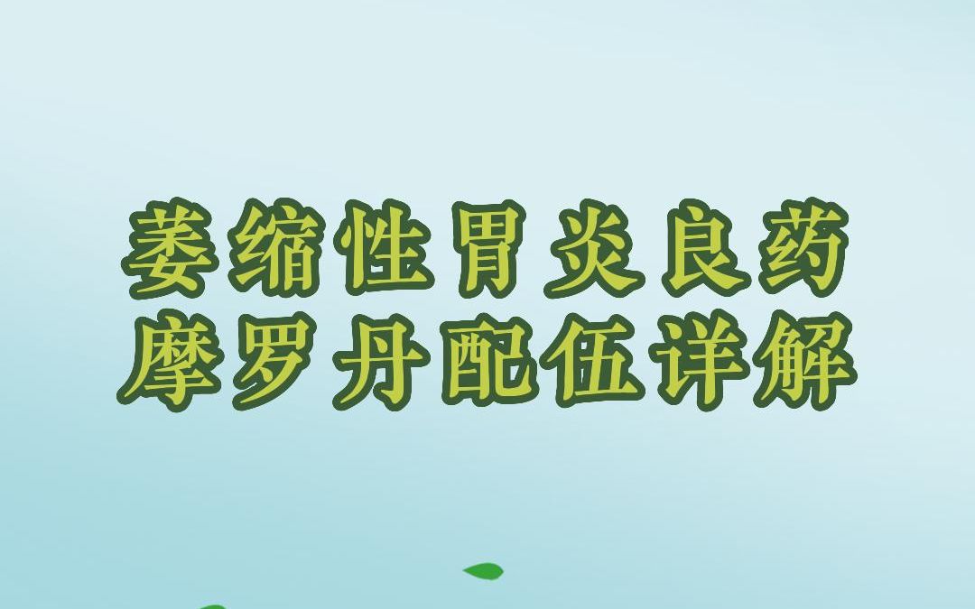 知己103:萎缩性胃炎良药摩罗丹配伍详解 #徐文兵 #中医传承哔哩哔哩bilibili