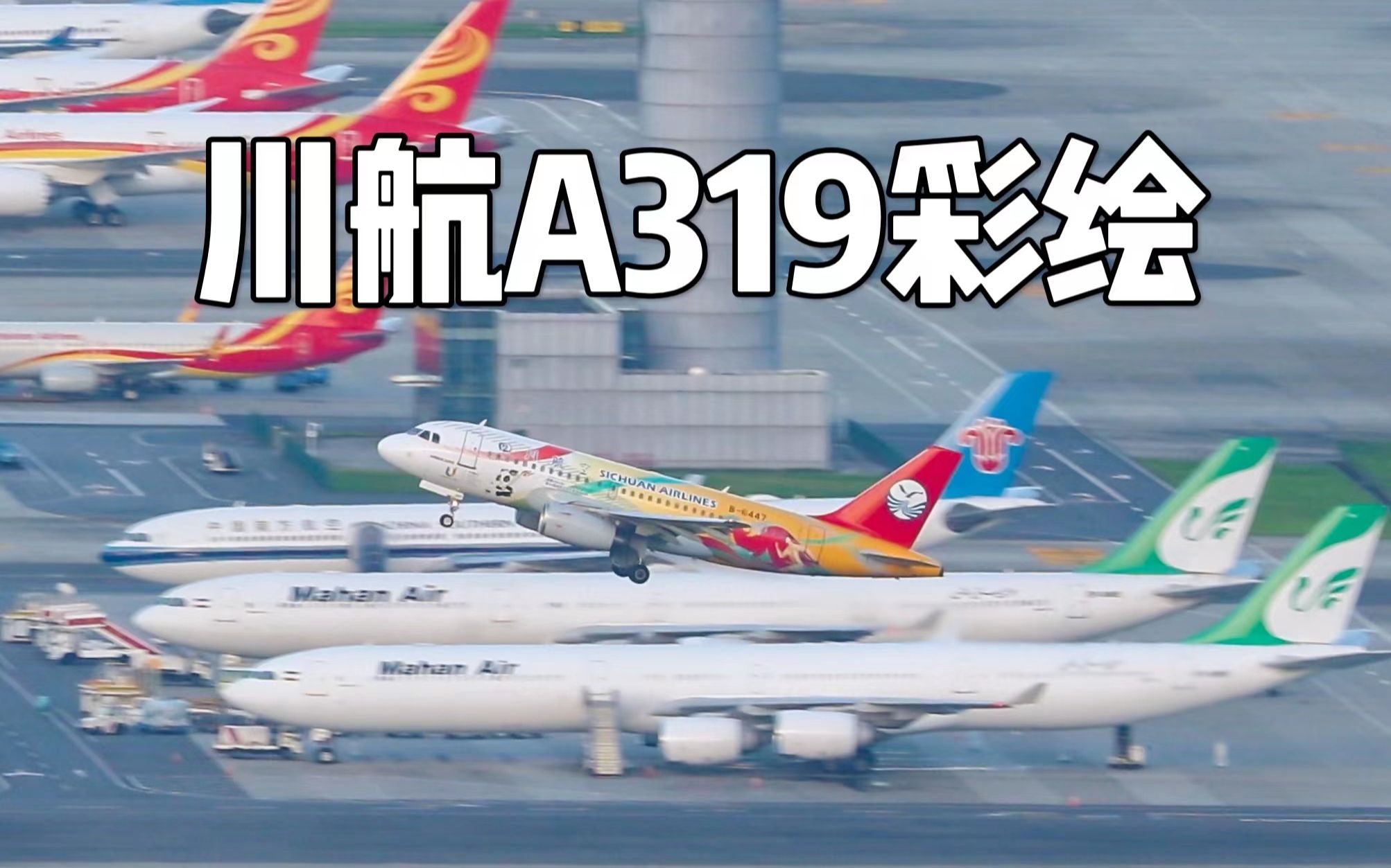 萌萌噠川航a319 成都大運會彩繪飛機