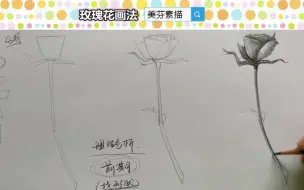 Tải video: 新手入门素描铅笔画，如何用素描铅笔画一只漂亮的玫瑰花素描画！