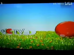 Download Video: 2013年CCTV1综合频道C先生春季ID