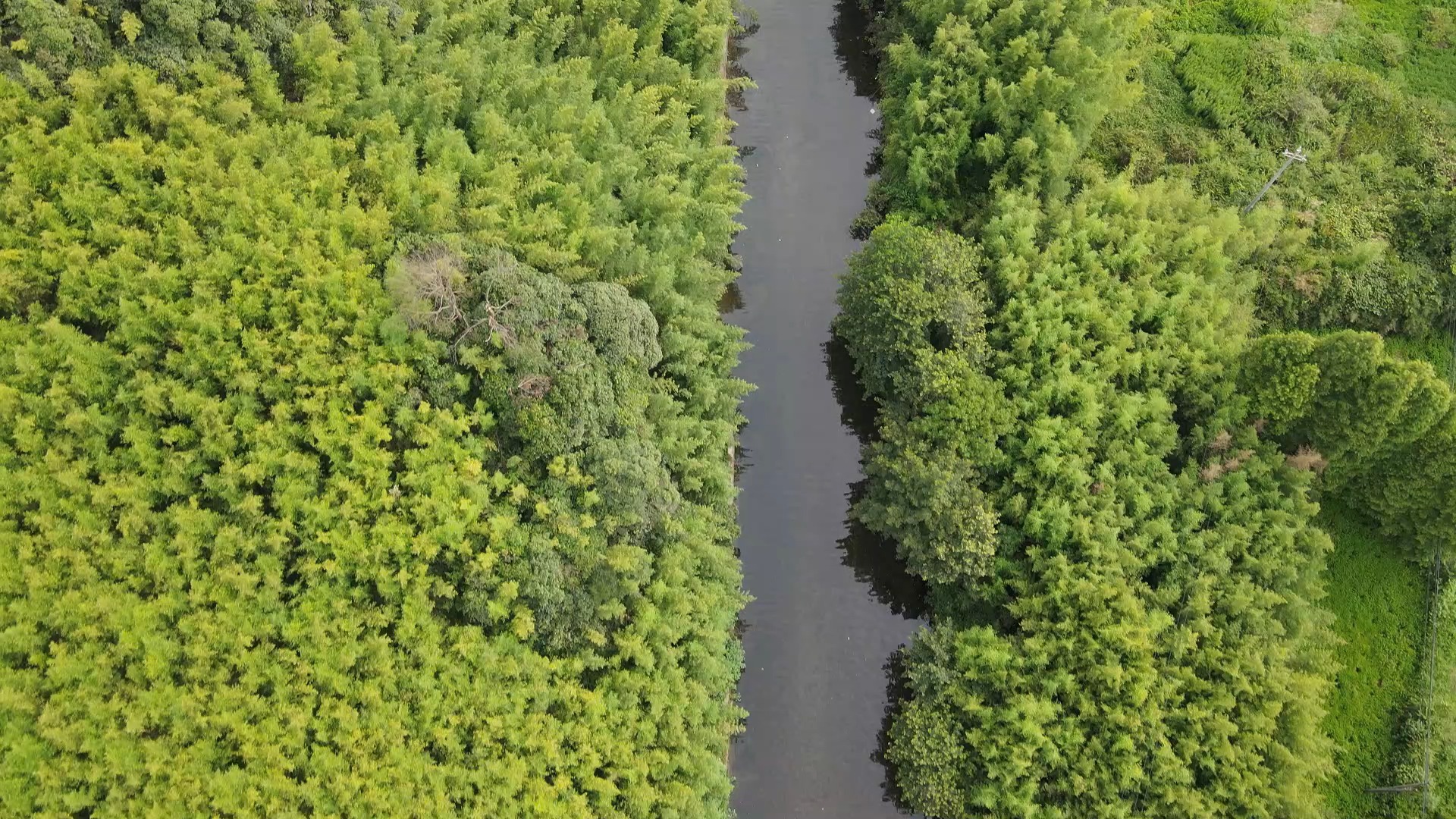 莫干山美丽小溪推荐