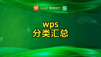 Download Video: wps分类汇总数据