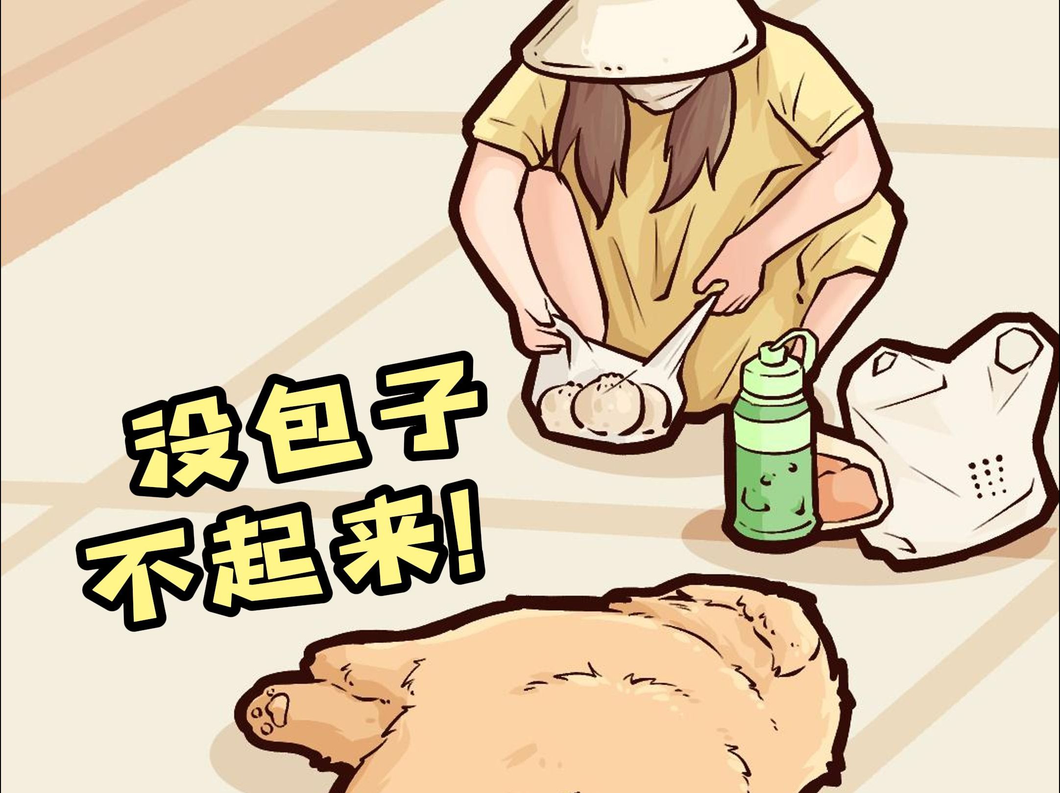 大金毛要吃包子 主人不给就不走了