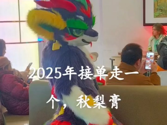 2025年接单委托走一个,秋梨膏哔哩哔哩bilibili